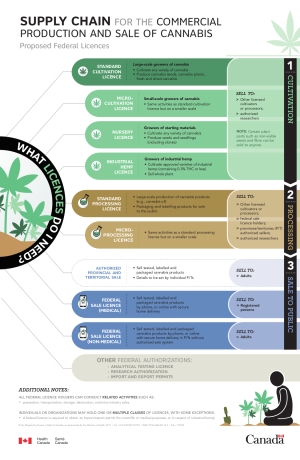 Infographic: Supply chain for the commercial production and sale of cannabis